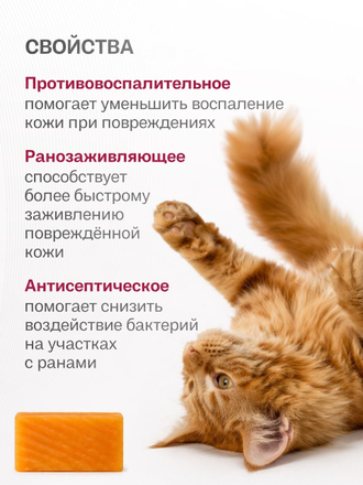 ТВЁРДОЕ МЫЛО ПРИ КОЖНЫХ БОЛЕЗНЯХ КОШЕК, 80 гр