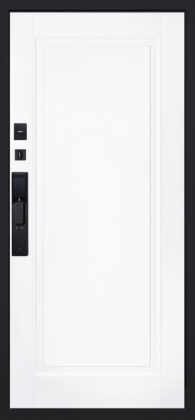 Стальная дверь   Сапсан (биометрический замок Smart lock DZ 888)