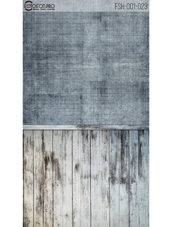 Фотофон «Минтака»