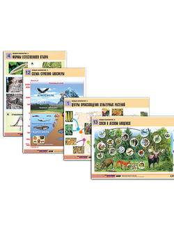 Комплект таблиц по биологии дем. "Общая биология 2" (14 табл., формат А1, лам.)