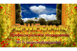 Купить беспроводные IP видеокамеры на p2pWiFicam.ru