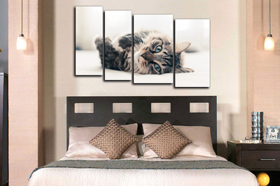 Модульная картина "Нежится на диване"