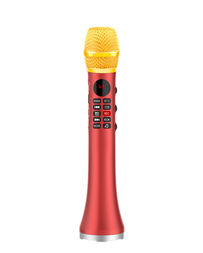 Профессиональный караоке-микрофон L-699 DSP  20w