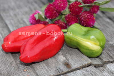 Перец сладкий Кенди Кейн красный вариегатный (Candy Cane Red Variegat), 10 шт.