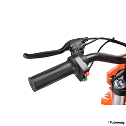 ЭлектроМОТОЦИКЛ WHITE SIBERIA SOCHI 1300W ORANGE