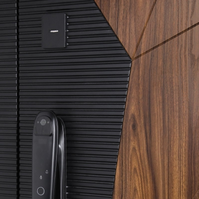 Стальная дверь   Сапсан с зеркалом (биометрический замок Smart lock DZ 888)
