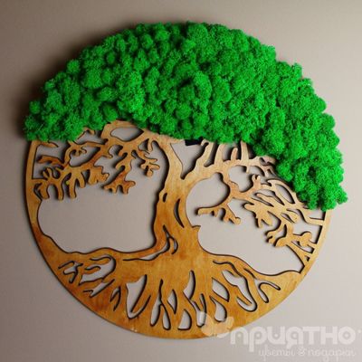 ЖИВАЯ ЭКО-КАРТИНА 1091