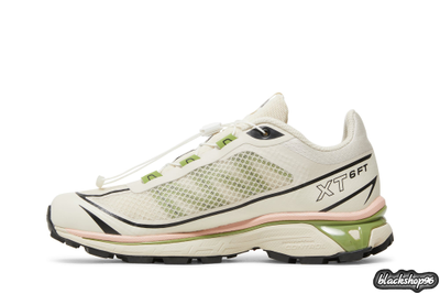 Salomon XТ-6 FT Peach Beige Мужские (40-45)