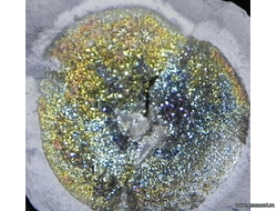 Пирит, "спектропирит", в полости конкреции. Россия. 63*60*30мм