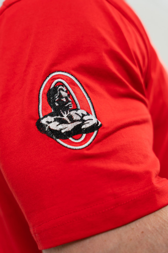 ФУТБОЛКА LOOSE T-SHIRT LEGACY 70905