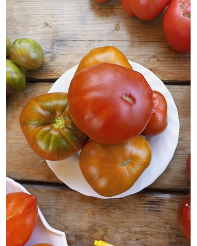 Томат Лавандовое озеро (Lavender Lake)