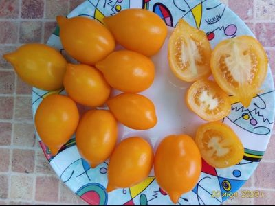 Томат Чудо света