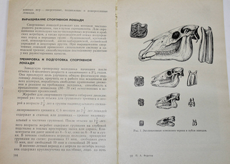 Федотов П.А. Коневодство. М.: Колос. 1981г.