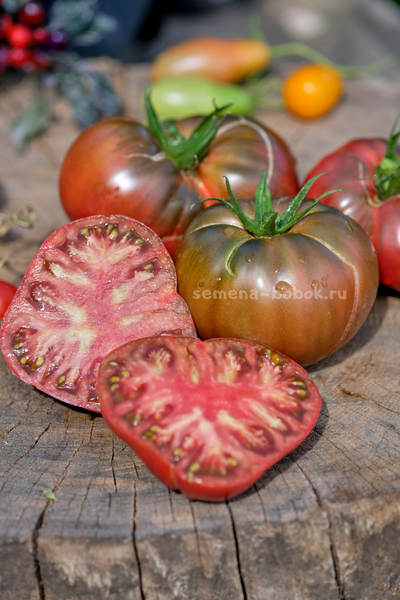 Томат Elbonian Mudball (Комок земли), 10 шт