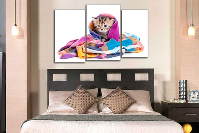 Модульная картина "Котенок в шали"