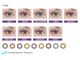 Adria Color 3 Tone (2 линзы)