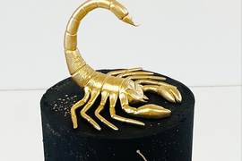 Торт "Знак зодиака"