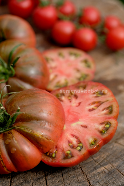 Томат Один Трюк Пони ( One Trick Pony), 10 шт