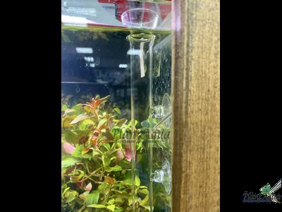 SwetAqua Glass bottom feeder 300 - стеклянная кормушка с трубкой для донных рыб