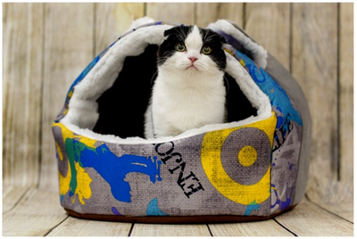 ДОМ “ПУШОК”