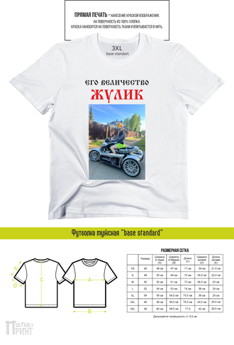 Футболка мужская "Жулик"