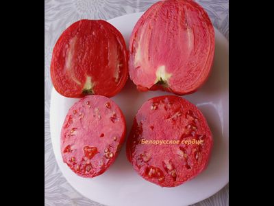 Томат Белорусское сердце