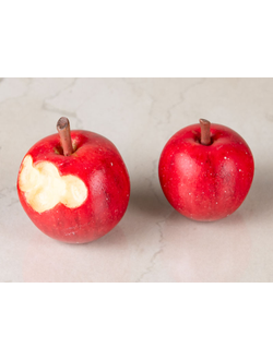 Фигурка 1/6 Райзалин Стаут (Reisalin Stout KT Model+)