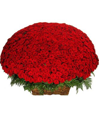 Корзина из 1001 розы для богинь