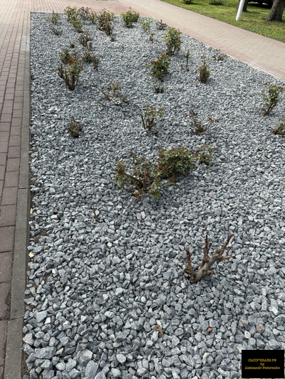 серый декоративный щебень