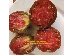 ВЗИ Лунный свет Блейна (RS Blaine's Moonlight)