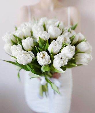 29 белых пионовидных тюльпанов