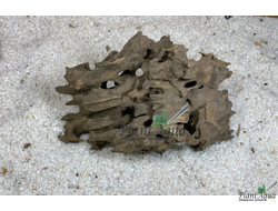 Коряга Мангровая Дракон S (15-25 см)