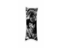 Дакимакура Сектор Газа, Юрий Хой №20