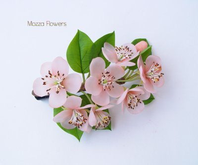 Зажим с веточкой розовой яблони.