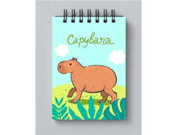 Блокноты Капибара, Kapibara-san