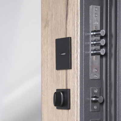 Стальная дверь    Беркут с зеркалом