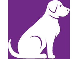 Сухой корм для собак средних и крупных пород