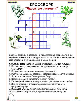 Вопросы На Тему Растения