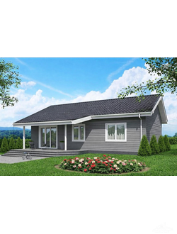 odnoetazhnie-doma-iz-profilirovannogo-drusa-io