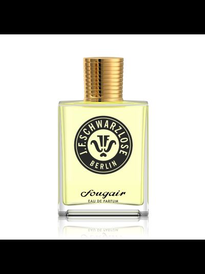 J.F.Schwarzlose FOUGAIR