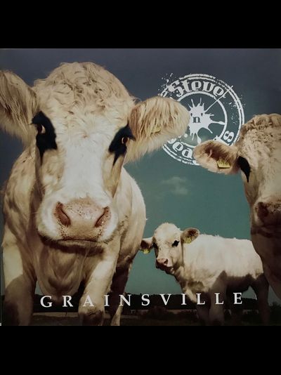 Steve'n'Seagulls - Grainsville CD