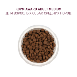 AWARD (Авард) сухой корм для собак средних пород, Индейка с курицей, 2 кг