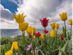 ВЕСЕННИЙ КРЫМ