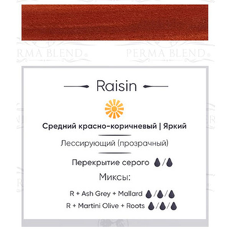 "Raisin" - Пигмент для татуажа Perma Blend (США)