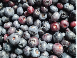 Купить голубику от 500 грамм в Новосибирске, замороженную, с доставкой по городу