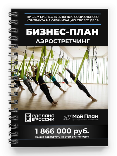 Бизнес-план для соцконтракта. Ниша: Аэростретчинг