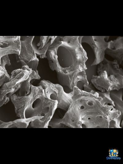 bioOST XENOGRAFT Mineral – Восстановление костной ткани