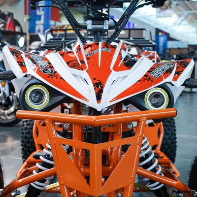 Электроквадроцикл ECO SUFA Sport