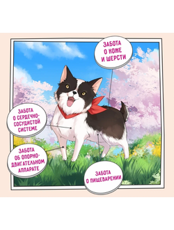 ZILLII Adult Dog Small Breed корм сухой для собак мелких пород  Индейка с Уткой 0.8 кг