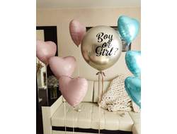 Комплект шаров на гендер-пати №9